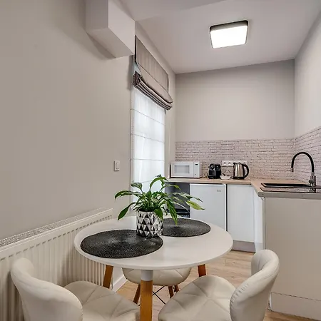 Platinum 18 Z Aneksem Kuchennym I Tarasem - 3 Lozka Apartman Rybnik