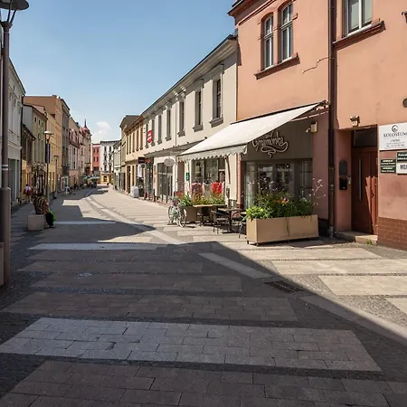 Platinum 18 Z Aneksem Kuchennym I Tarasem - 3 Lozka * Rybnik (Silesia)